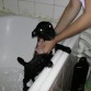 su primer baño 