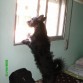 le encanta asomarse a la ventana y k lo tomen en brazos