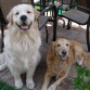 Pancho y Lía muy felizes