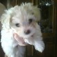 Es hermosa!!:)