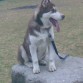 bartolo en su descanso