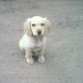 me dejaron solito....!!!!