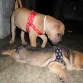 Cansado de Jugar...