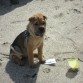 Jugando en la playa...!!!