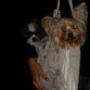 q tal