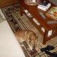 jugando con el senor conejo