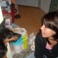 Laica y yop
