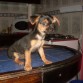 mi primer mes

