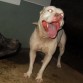 una sonrisa para la camara!