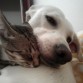 este soy yo con mi hermanito lucas!!!!!!