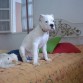 mi alcoba