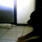 Estan tomando un descanso