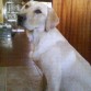 TINA, 8 meses