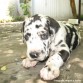 Titán, 30 días de vida.