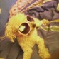 mi tomy kn lentes