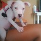 aqui esta mi jane! cuando apenas tenia 2 meses..