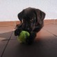 Jugando con su pelota