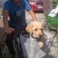Nos vamos de paseo

