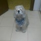 FALLERO!! como le gusta su pañuelo :) auntentico perro fallero valenciano ! 