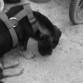 blanco y negro uhhh
