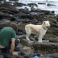 En una playa de Asturias, como cuando vamos a pescar.