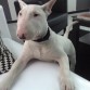 en pose para fotoo jejej aki tiene  meses