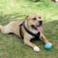11meses.me echas la pelota??