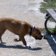 4 meses. jugando en el parque.
