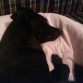 tomando una siesta