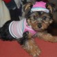 Bonnie 3 meses