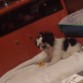 3 meses y medio0 aprxima