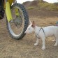 conan 4 meses viendonos montar en moto