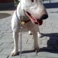 la almendra de conan 16 meses