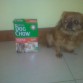 me encantan los biscochitos de dog chow!