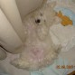 echando la siesta...