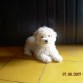 tomando el sol...