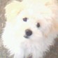 teee amoo mi amor!!!1