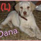 DANA CON 2 MESES