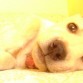 descansando... q flojaa!!!!