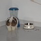 mi peluche bebiendo un litro de agua