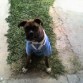 con la camiseta de uruguay!!! (7 meses