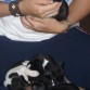 los hermanastros de Sofy... very tierno!!!