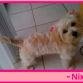 Nixy 4 meses y medio....