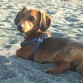 En mi paseito a la Playa ... 