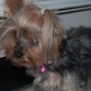 posando to tierna