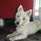 En septiembre 2010