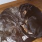 compartiendo cama