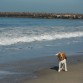 Embelleciendo la playa