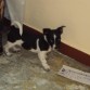 2 meses