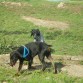 conociendo amiguitos nuevos